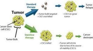 স্নায়ুকোষের ক্যান্সারেও স্টেম সেল, নয়া জীবন