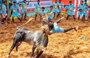 জাল্লিকাট্টুতে মৃত ২